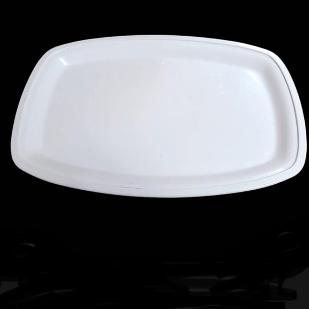 Vintage Litton 11.5" MICRO-BROWNER Microwave Cooking Steaks & Chops Grill‎ Plate